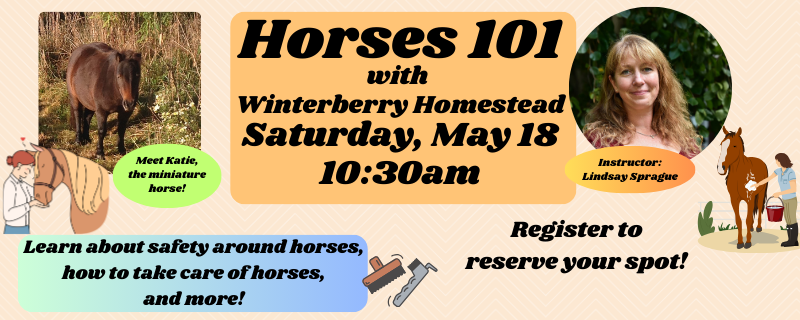 Horses 101 – Saturday, May 18 at 10:30 am