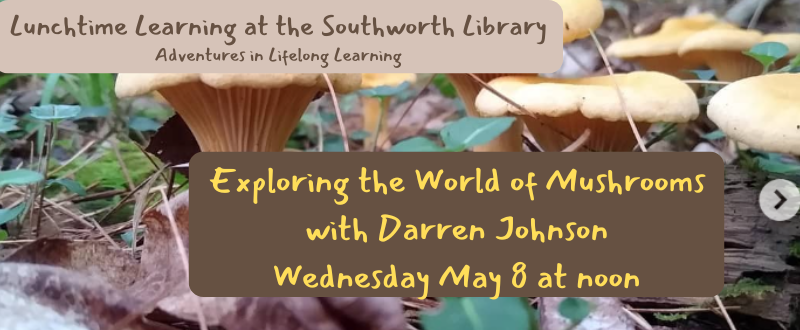 Lunchtime Learning: Exploring the World of Mushrooms – Wednesday, May 8 at noon