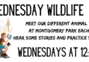 Wednesday Wildlife at Montgomery Park – 12:30pm