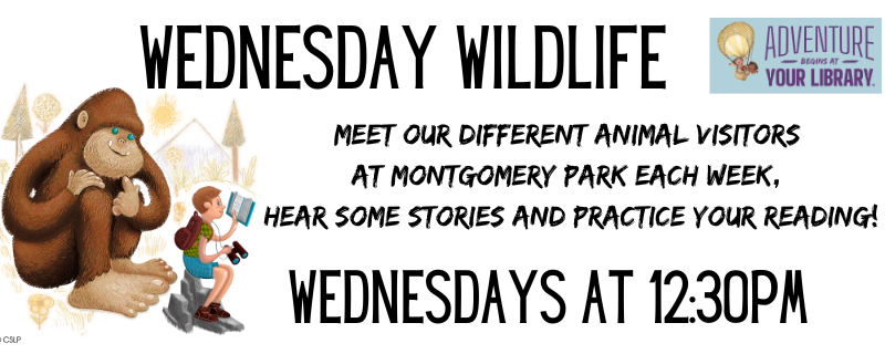 Wednesday Wildlife at Montgomery Park – 12:30pm