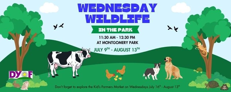 Wednesday Wildlife in the park. 11:30 am - 12:30 pm at Montgomery park July 9th - August 13th. Don’t forget to explore the Kid’s Farmers Market on Wednesdays July 16th - August 13th. The image features green hills, two trees and all sorts of animals including a cow, chicken, reptiles, and more.