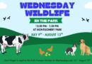 Wednesday Wildlife at Montgomery Park on Wednesdays from 12:30-1:30 July 9 – August 13
