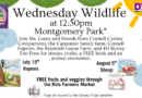 Wednesday Wildlife at Montgomery Park – Wednesdays at 12:30 in July and August